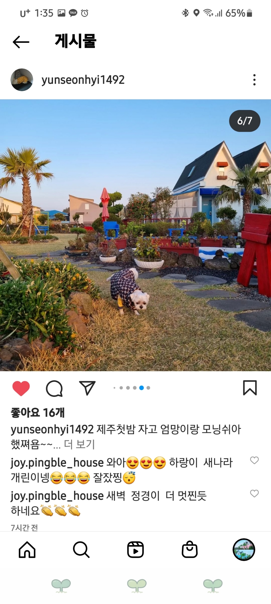 하콩이네 이미지