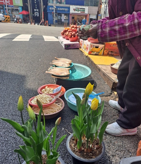 화초포차 이미지