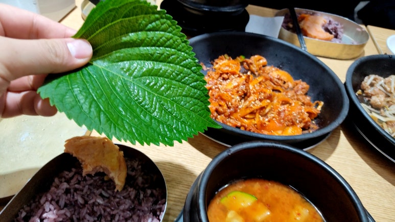 백불백 이미지