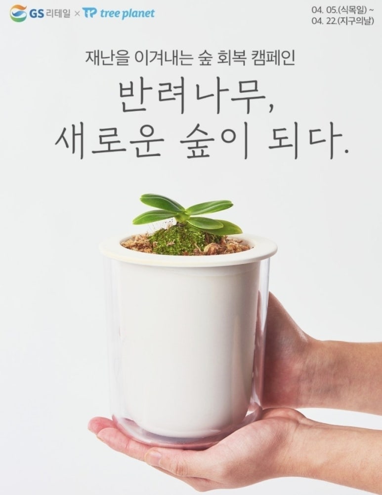 지에스25 홍천 이미지