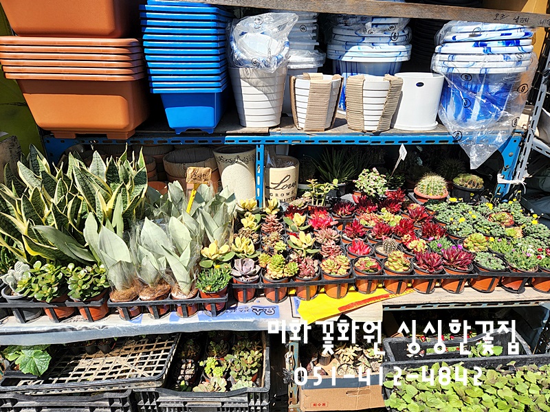 미화화원 이미지