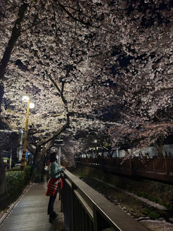 삼도왕족발보쌈 이미지