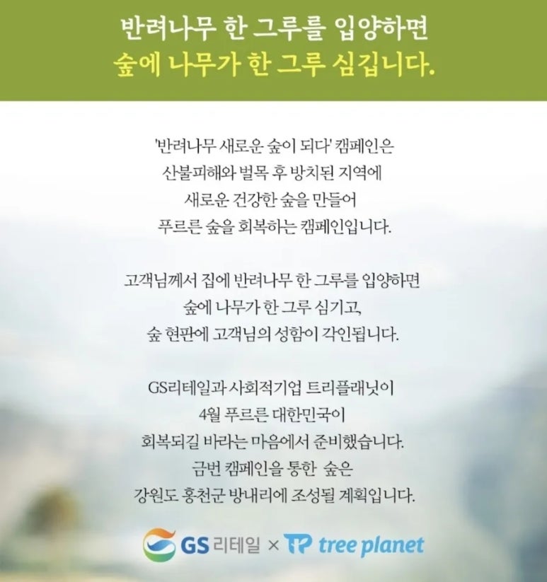 지에스25 홍천 이미지