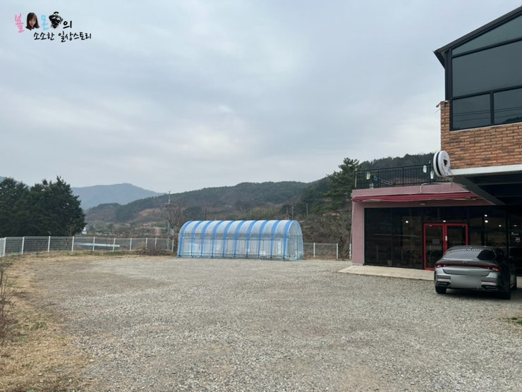 칼국수앤커피 이미지