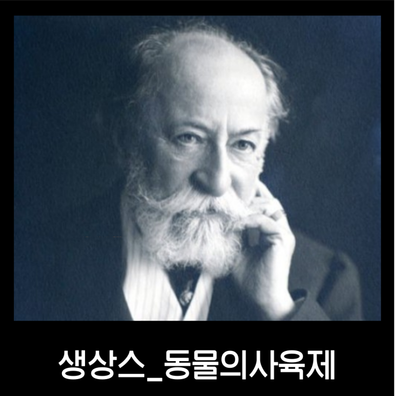 하모니움피아노악기 이미지