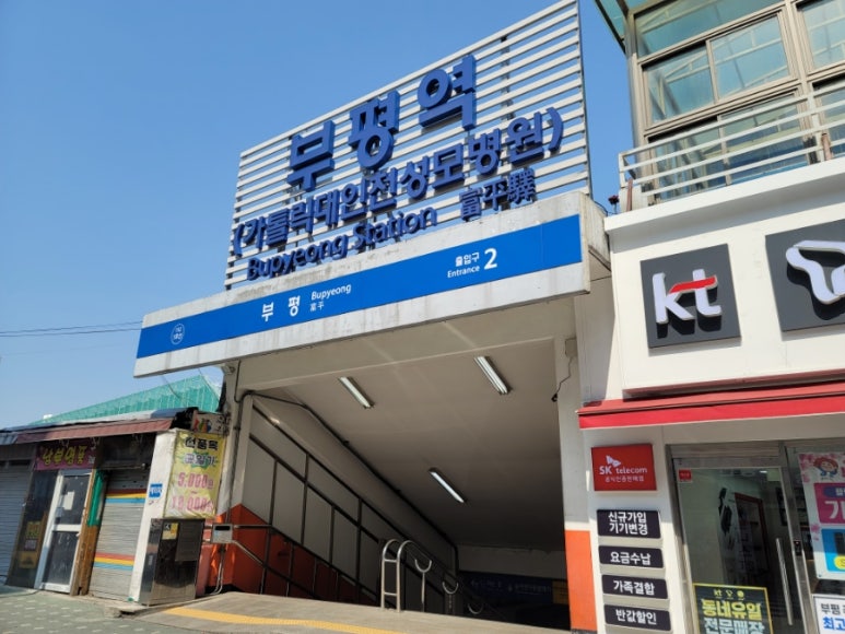 단미청 이미지