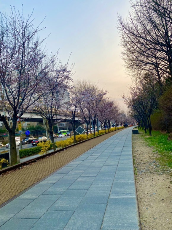 소미담 진접점 이미지