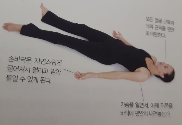 사바아사나 이미지