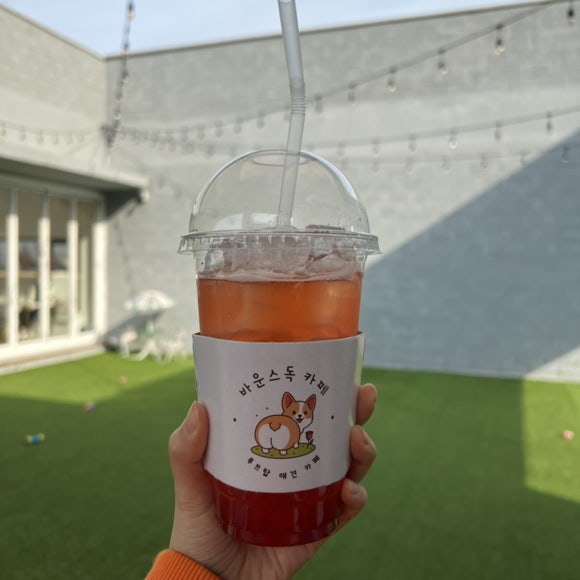 바운스독카페 이미지