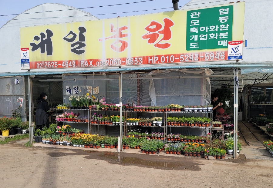 대일농원 이미지