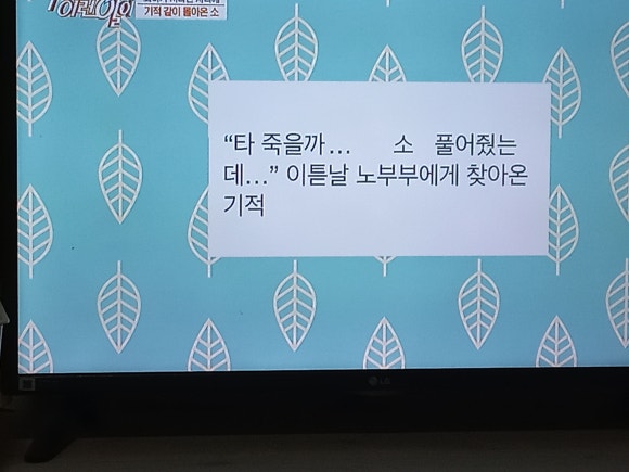 성자한우 이미지