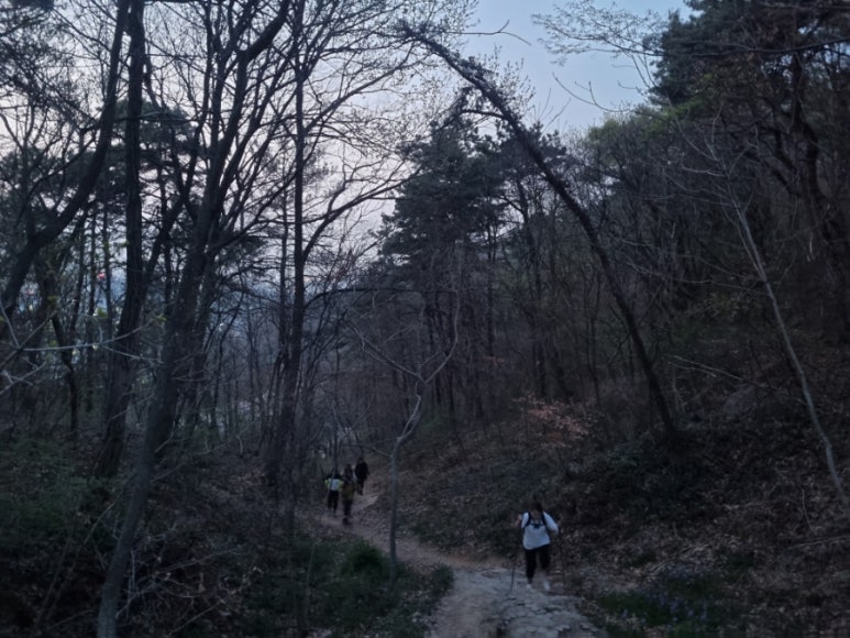 금당산 산하 이미지