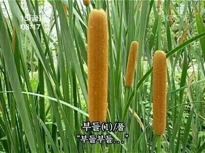 푸조대구서비스센터 이미지