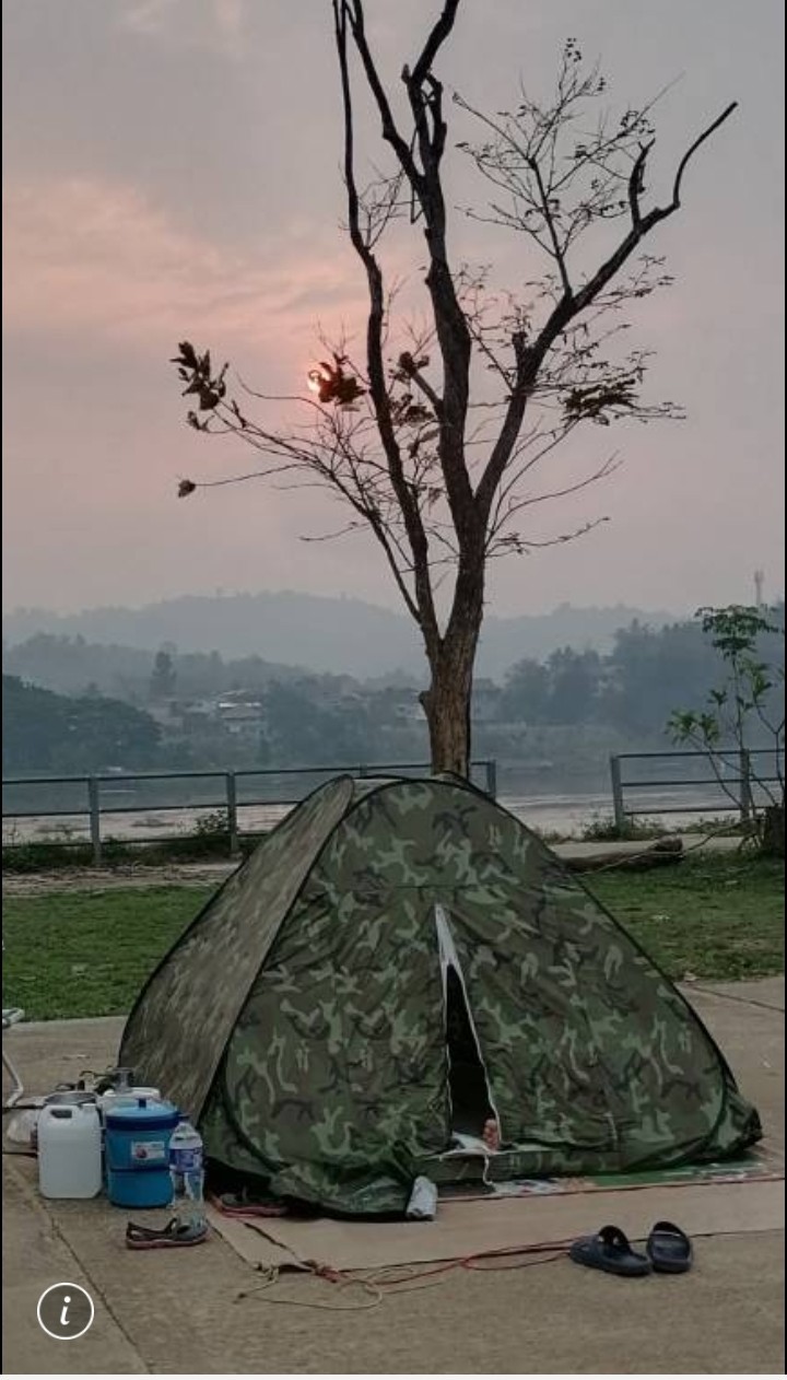 콩·붕 이미지