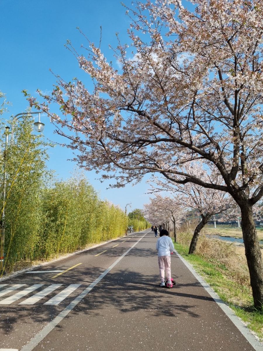 강변마트 이미지