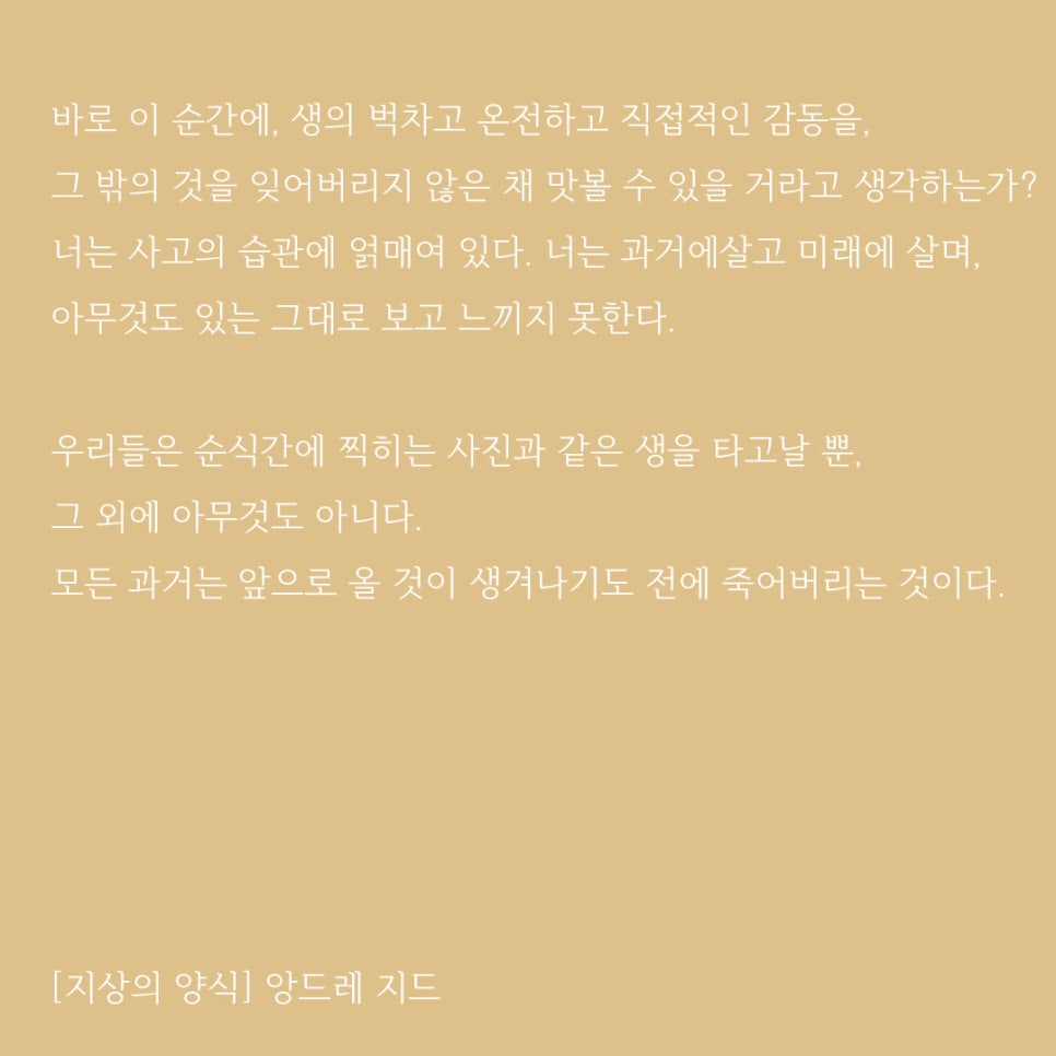 지상의양식 이미지