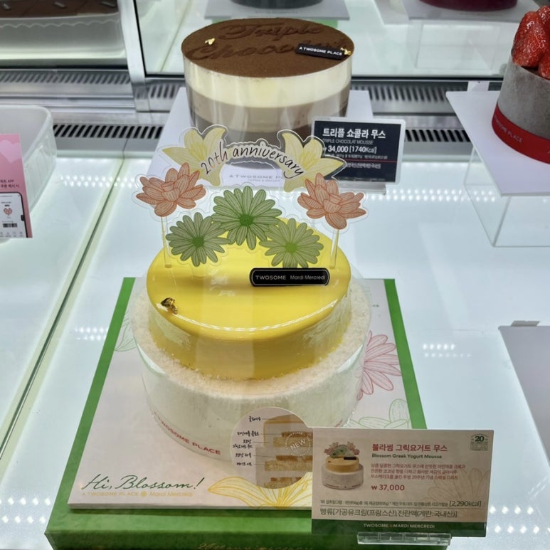 코코블라썸 이미지