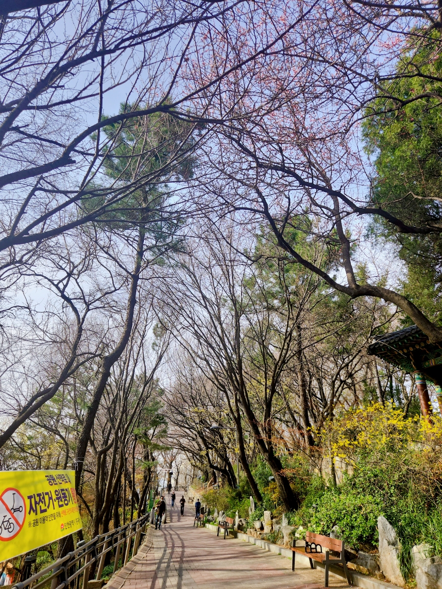 뮤직노래장 이미지
