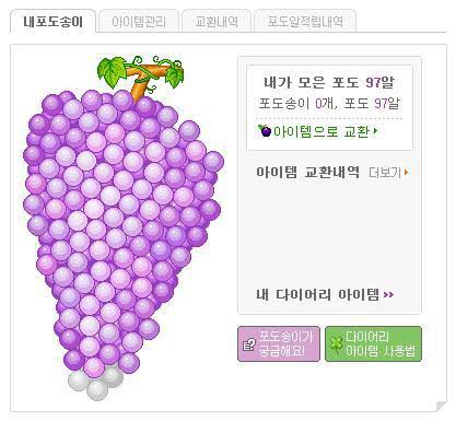 도토리포도 이미지