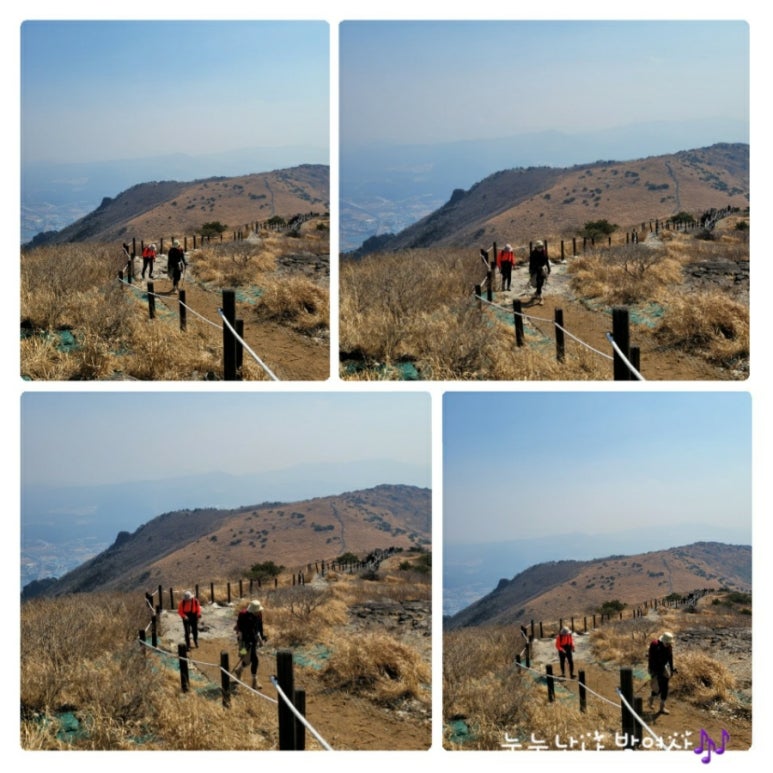 마운틴축산 이미지