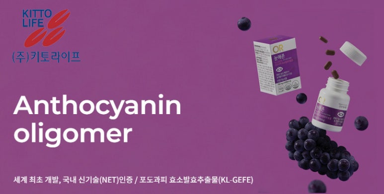 키토라이프 이미지