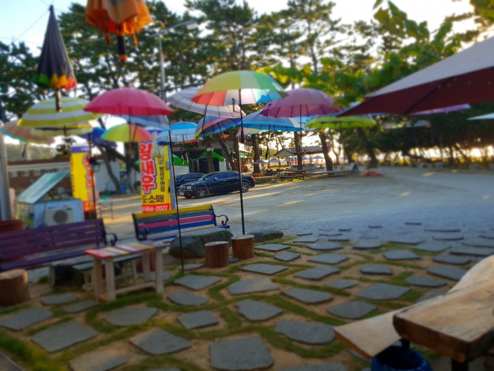 카페동호 이미지