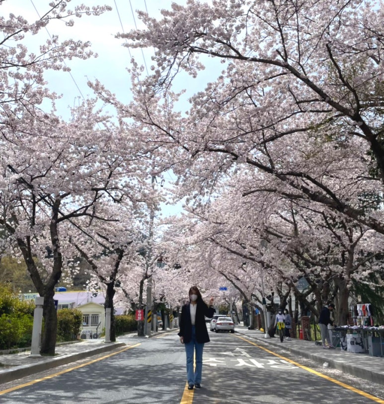 단대목 이미지