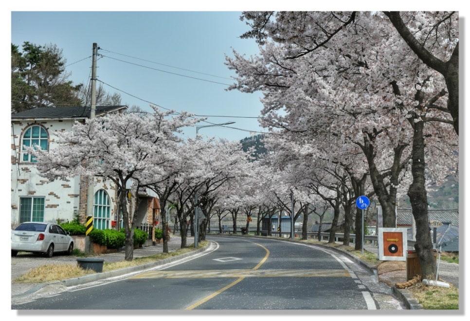 꽃으로노래하다 이미지