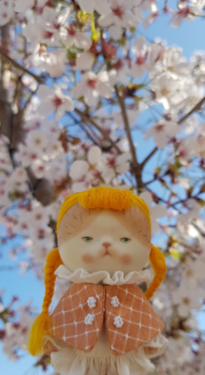 모디돌 이미지