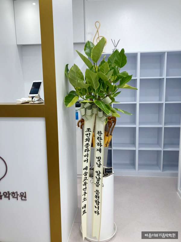 마음더하기음악학원 이미지