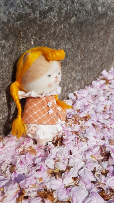 모디돌 이미지