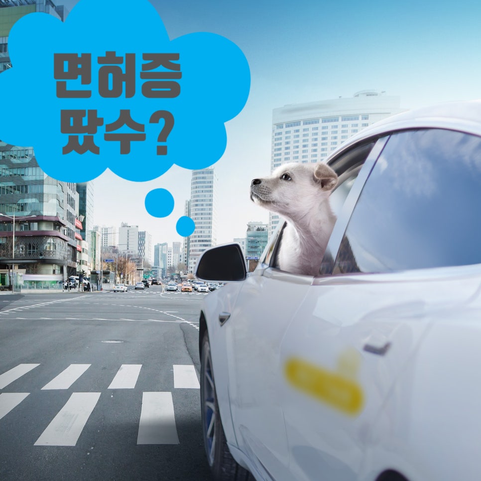 청주교원자동차운전전문학원 이미지