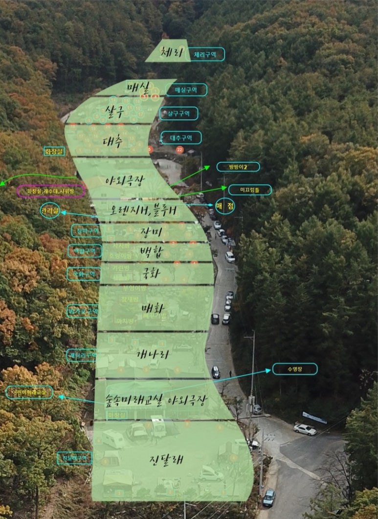 용인랜드숲속캠핑장 이미지