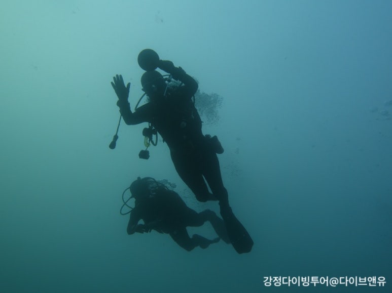 강정다이브센터 이미지