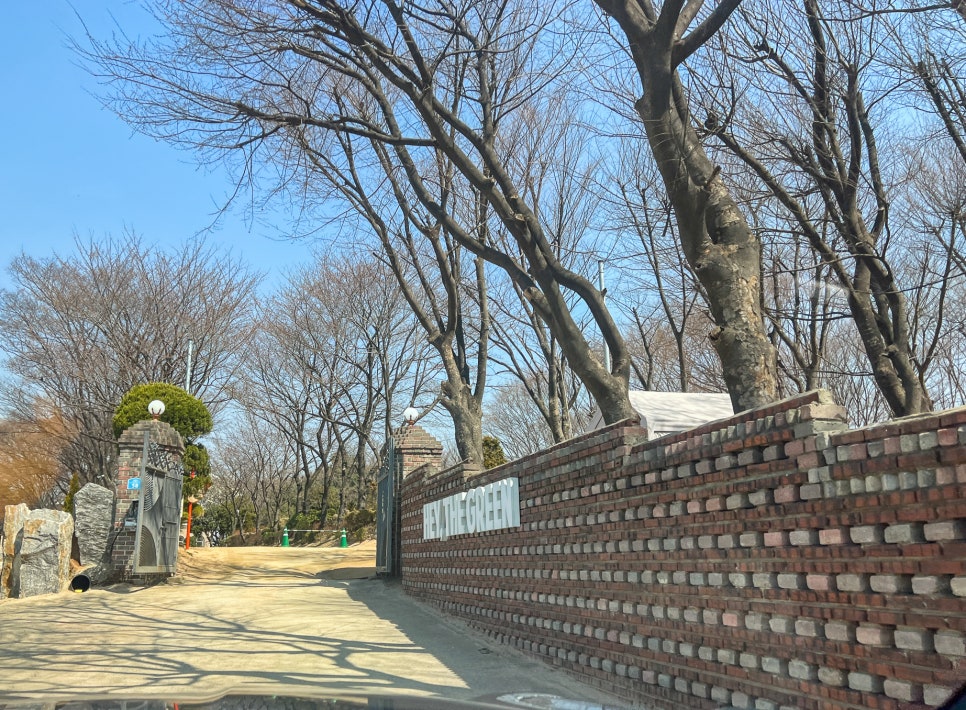서울 강서 애견동반카페 헤이더그린, 반려견 운동장 후기 — 사진 4