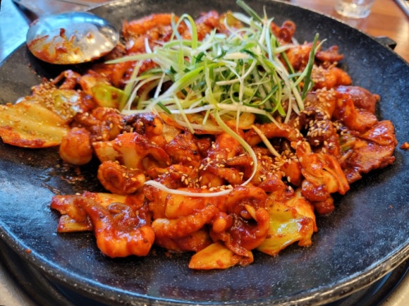 쭈꾸미이선생 이미지