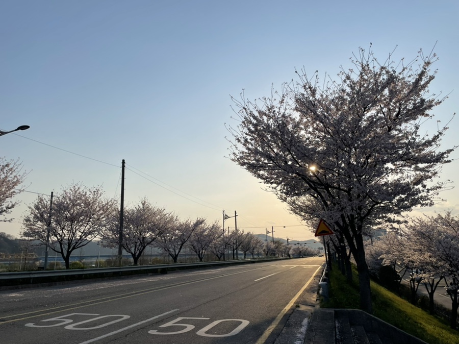 남지강변횟집 이미지