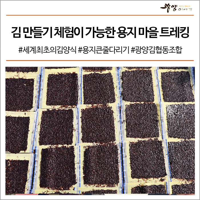 광양김협동조합 이미지