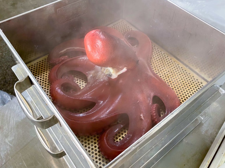 대신수산 이미지