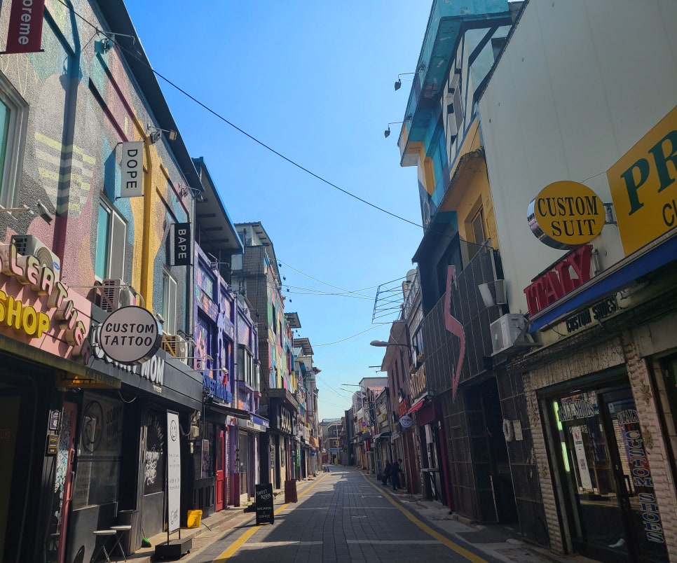 스위트로빈 이미지