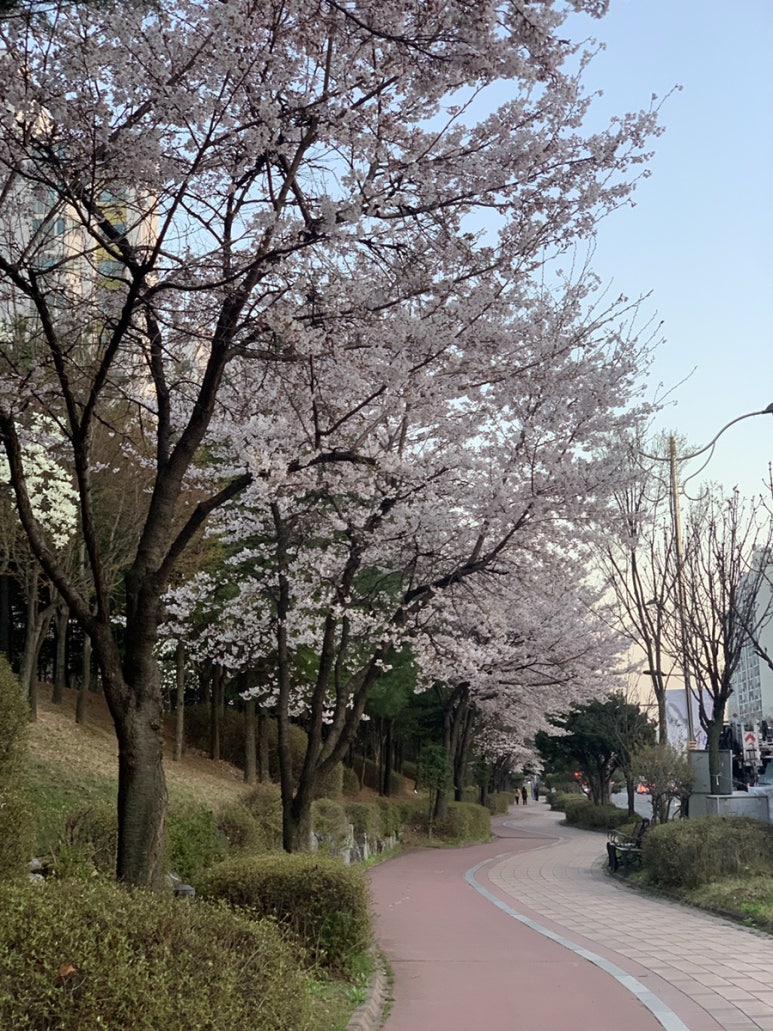 보금자리회수산 이미지