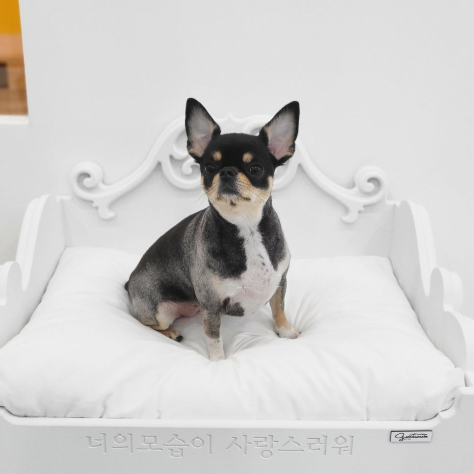 예담스터디카페 이미지