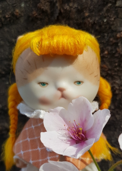모디돌 이미지