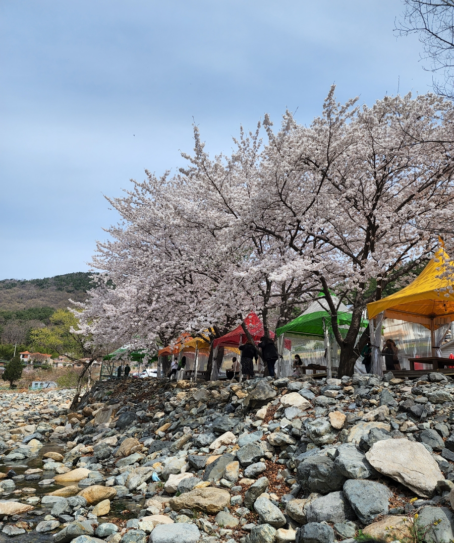 명성종가집 이미지