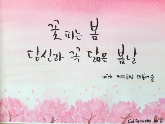 아마티보 이미지
