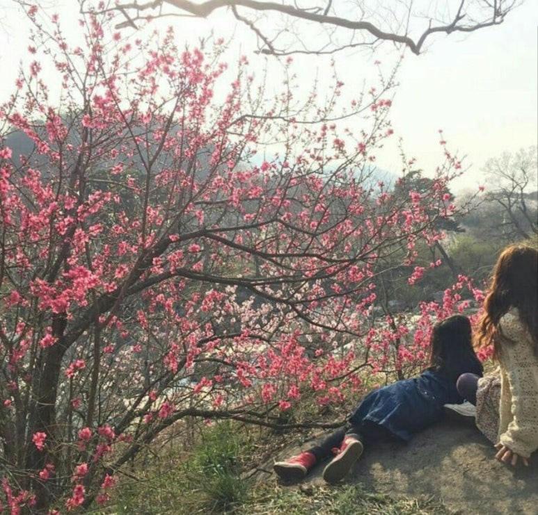 풍류민박 이미지