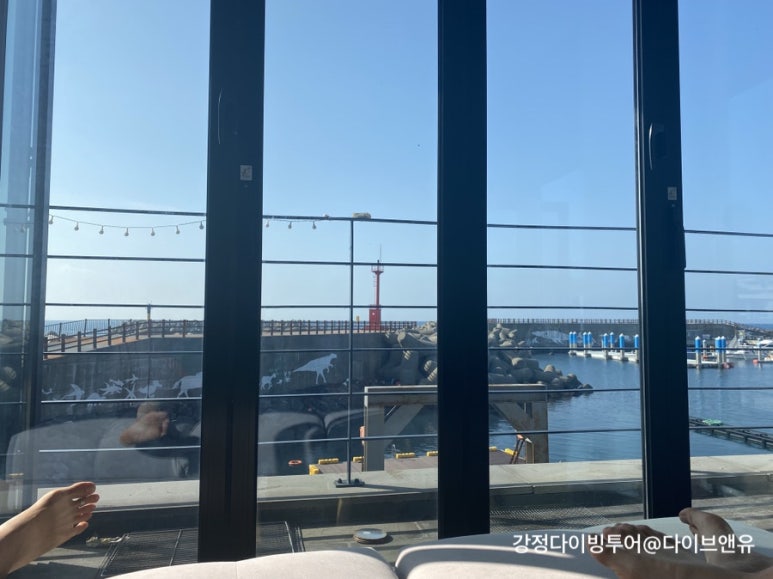 강정다이브센터 이미지