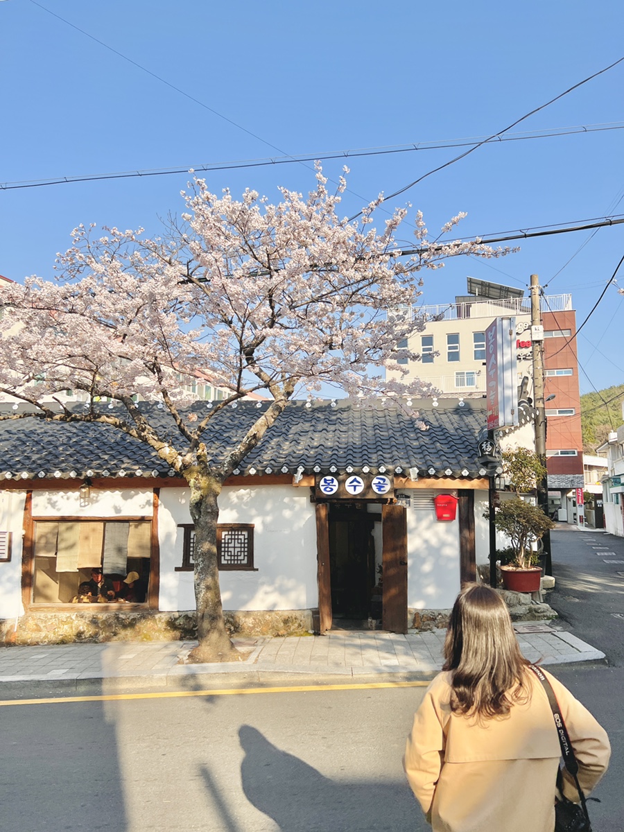 가마치통닭도남점 이미지