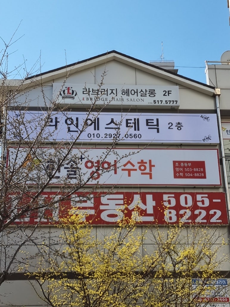 라인에스테틱 이미지