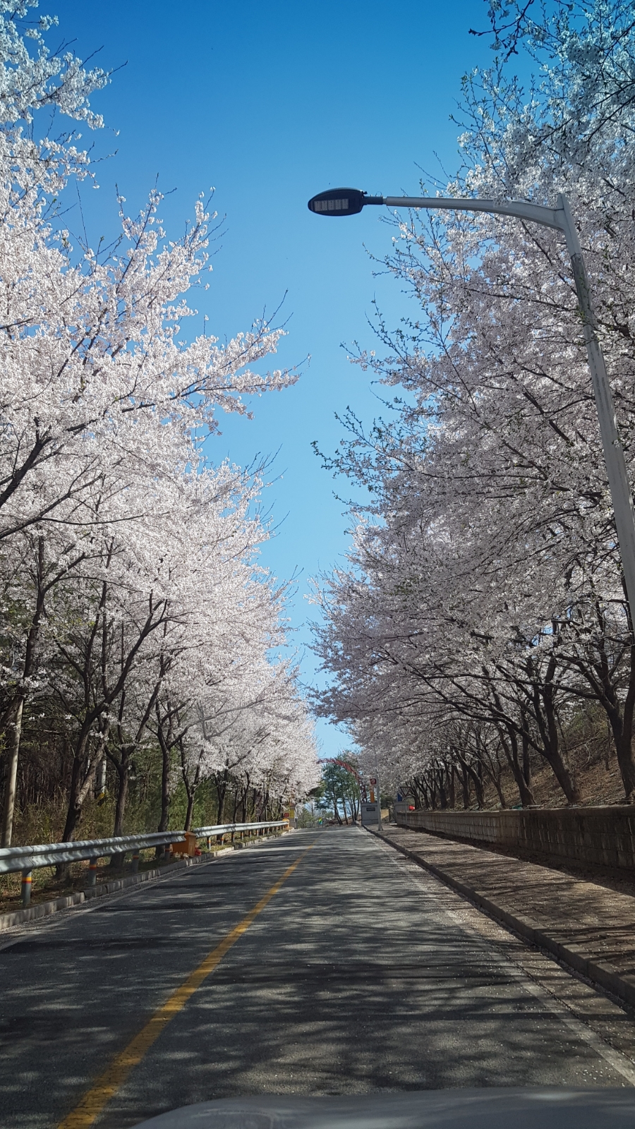 주문진순이네 이미지